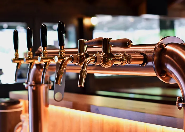 & Sazavsky Ostrov Apartament